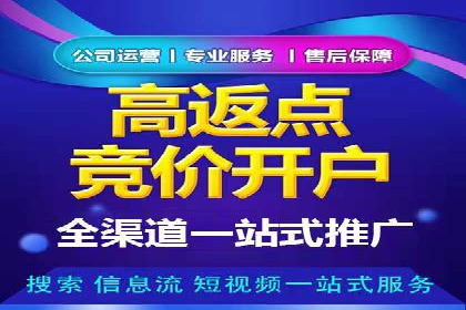 成功案例揭秘：百度竞价账户托管的运营之道